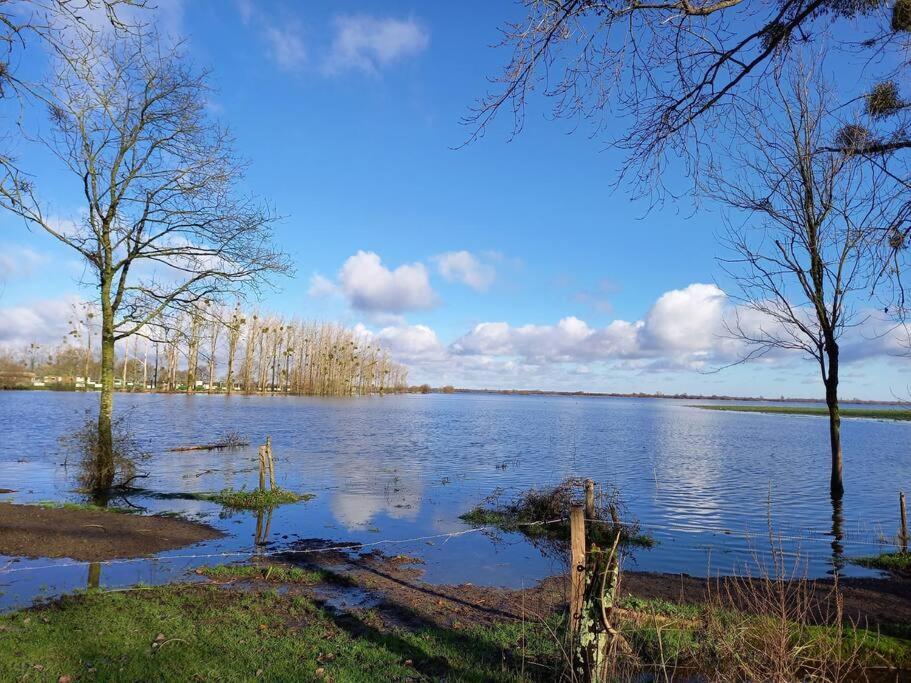 Lac Grand Lieu : Maisonnette Au Calme Avec Jardin Saint-Lumine-de-Coutais Ngoại thất bức ảnh