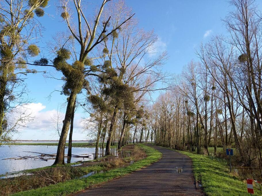 Lac Grand Lieu : Maisonnette Au Calme Avec Jardin Saint-Lumine-de-Coutais Ngoại thất bức ảnh